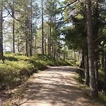 Sentralt, Kort Vei Til Byens Fasiliteter *