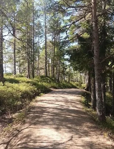 Sentralt, Kort Vei Til Byens Fasiliteter *